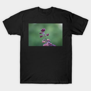 Purple Salvia T-Shirt